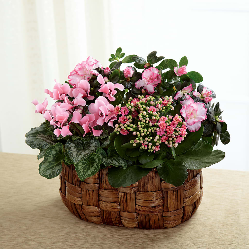Pink Assortment – New Life Flower And Gifts, Rincon GA