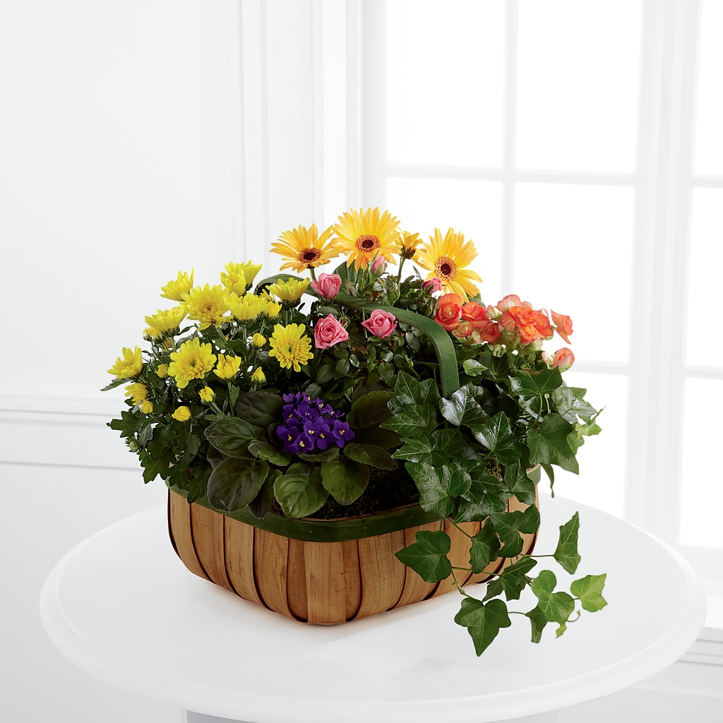 Gentle Blossoms Basket – New Life Flower And Gifts, Rincon GA