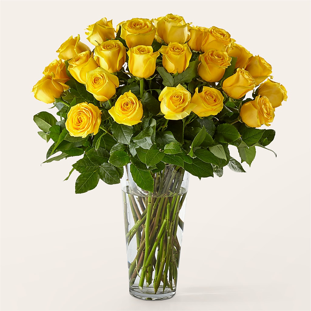 Long Stem Yellow Rose Bouquet – New Life Flower And Gifts, Rincon GA