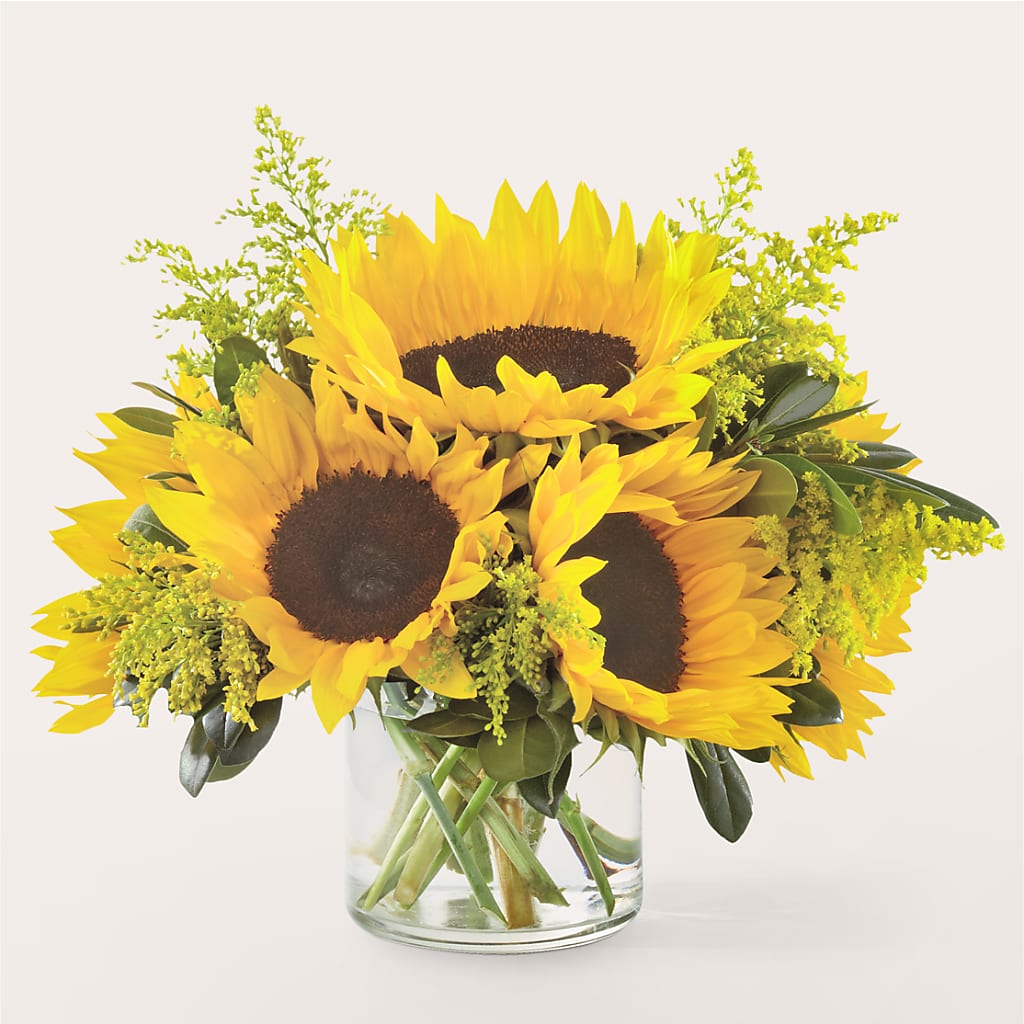 Beaming Sunflower Bouquet – New Life Flower And Gifts, Rincon GA