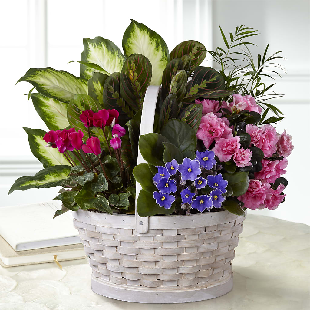 Peaceful Garden Planter – New Life Flower And Gifts, Rincon GA