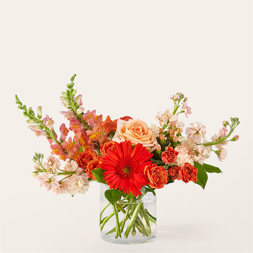 Paloma Please Bouquet – New Life Flower And Gifts, Rincon GA