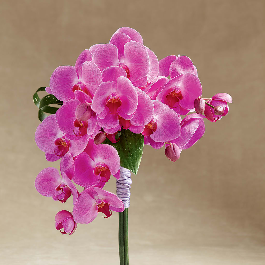 Glorious Bouquet – New Life Flower And Gifts, Rincon GA
