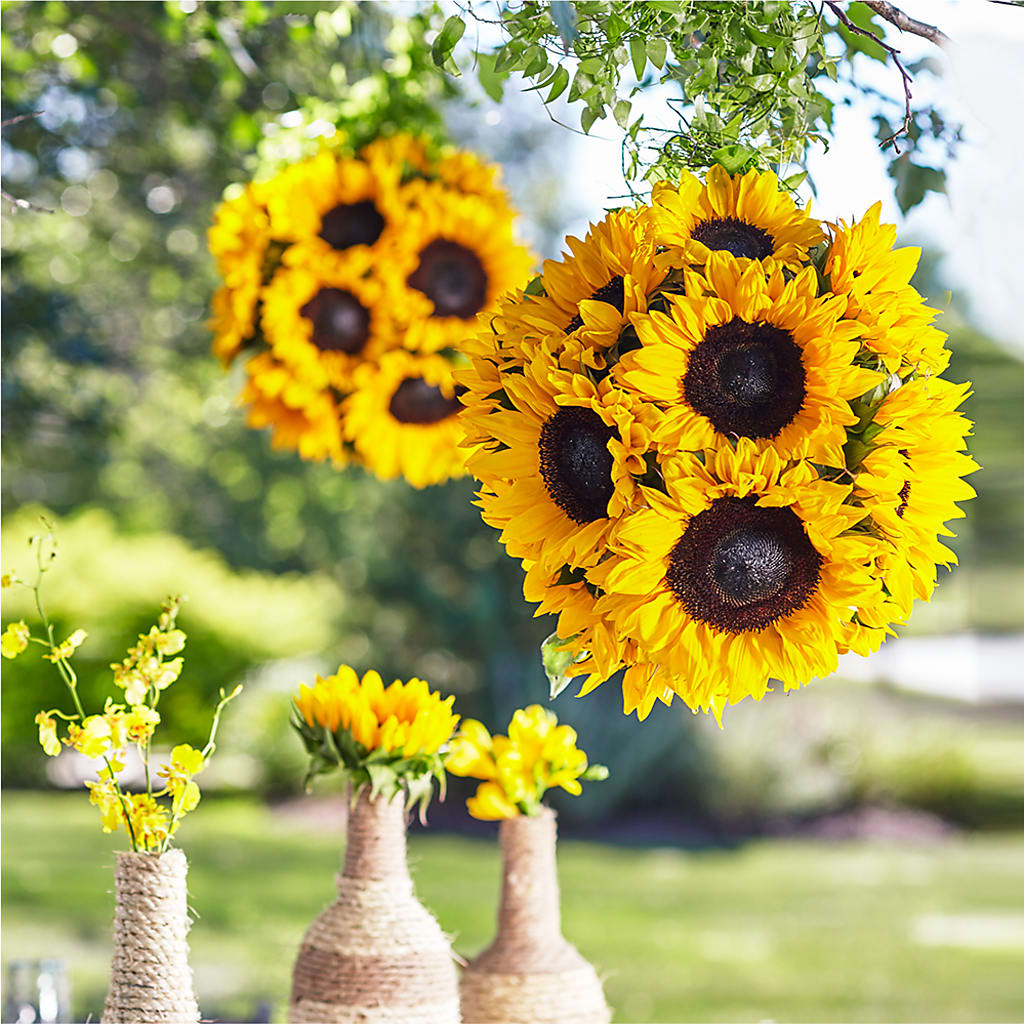 Sublime Garden Hanging Arrangement – New Life Flower And Gifts, Rincon GA