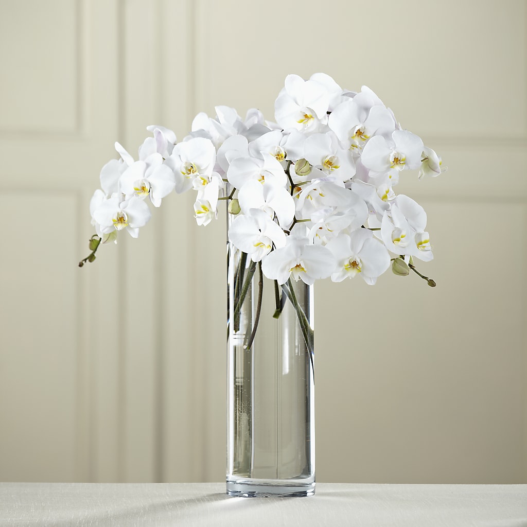 White Phalaenopsis Bouquet – New Life Flower And Gifts, Rincon GA