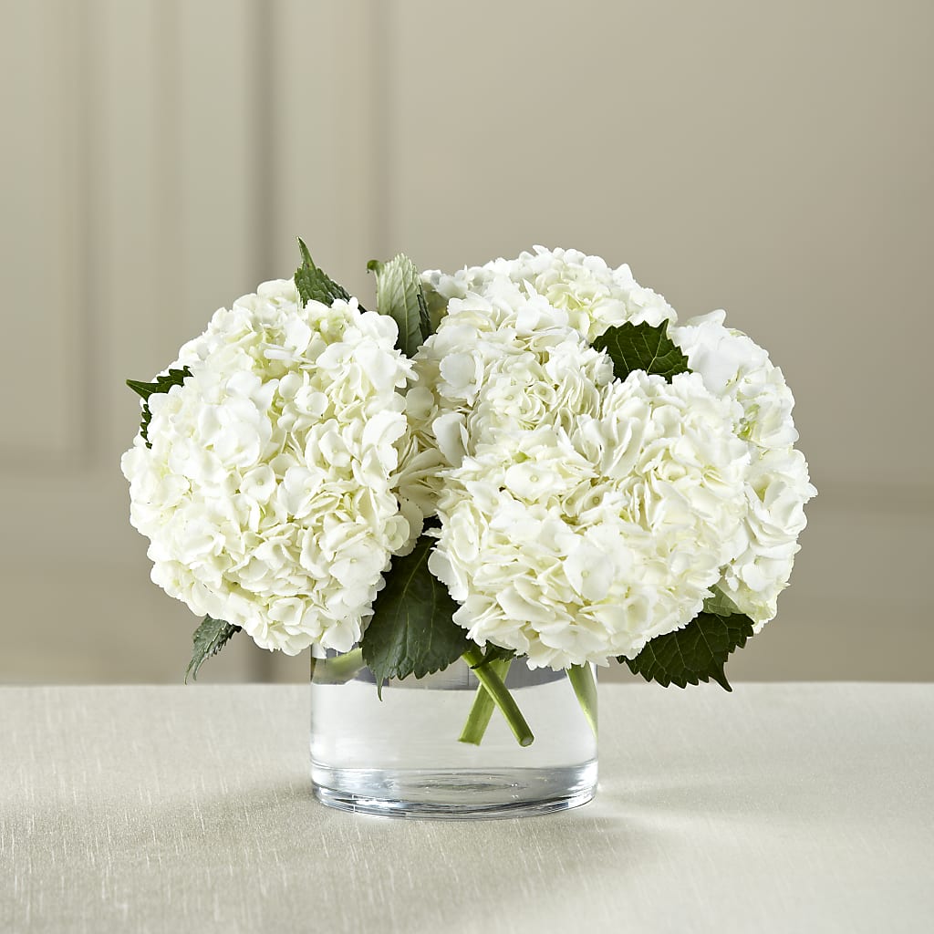 White Hydrangea Bouquet – New Life Flower And Gifts, Rincon GA