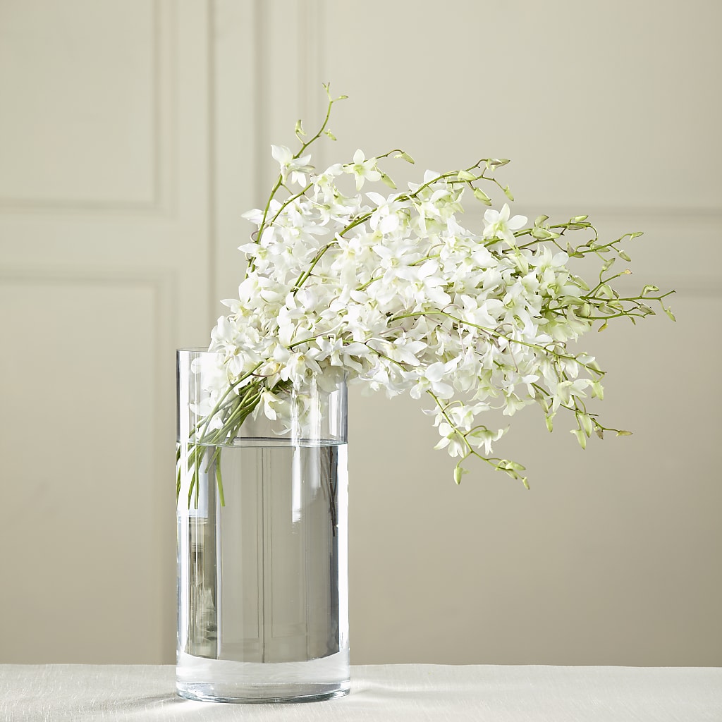 White Dendrobium Bouquet – New Life Flower And Gifts, Rincon GA
