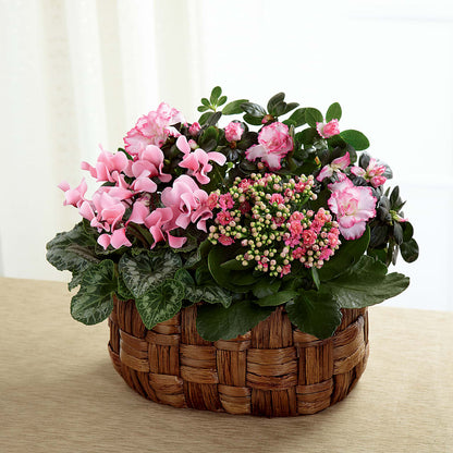 Pink Assortment –  New Life Flower And Gifts, Rincon GA