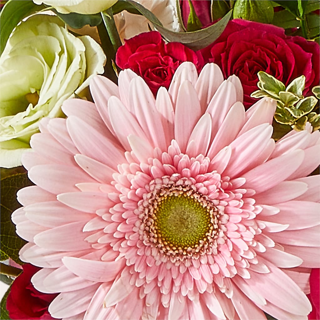Too Cute Bouquet –  New Life Flower And Gifts, Rincon GA