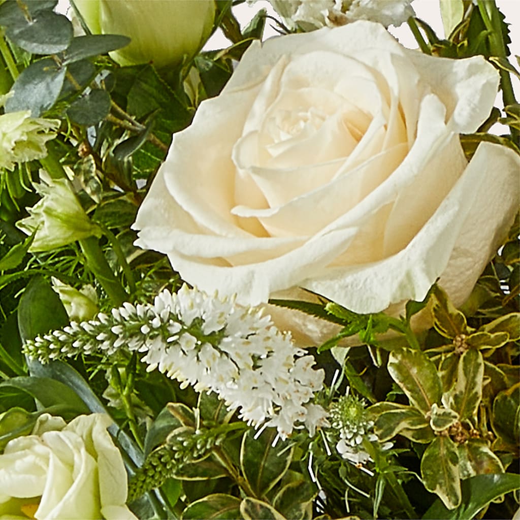 Cashmere Bouquet –  New Life Flower And Gifts, Rincon GA