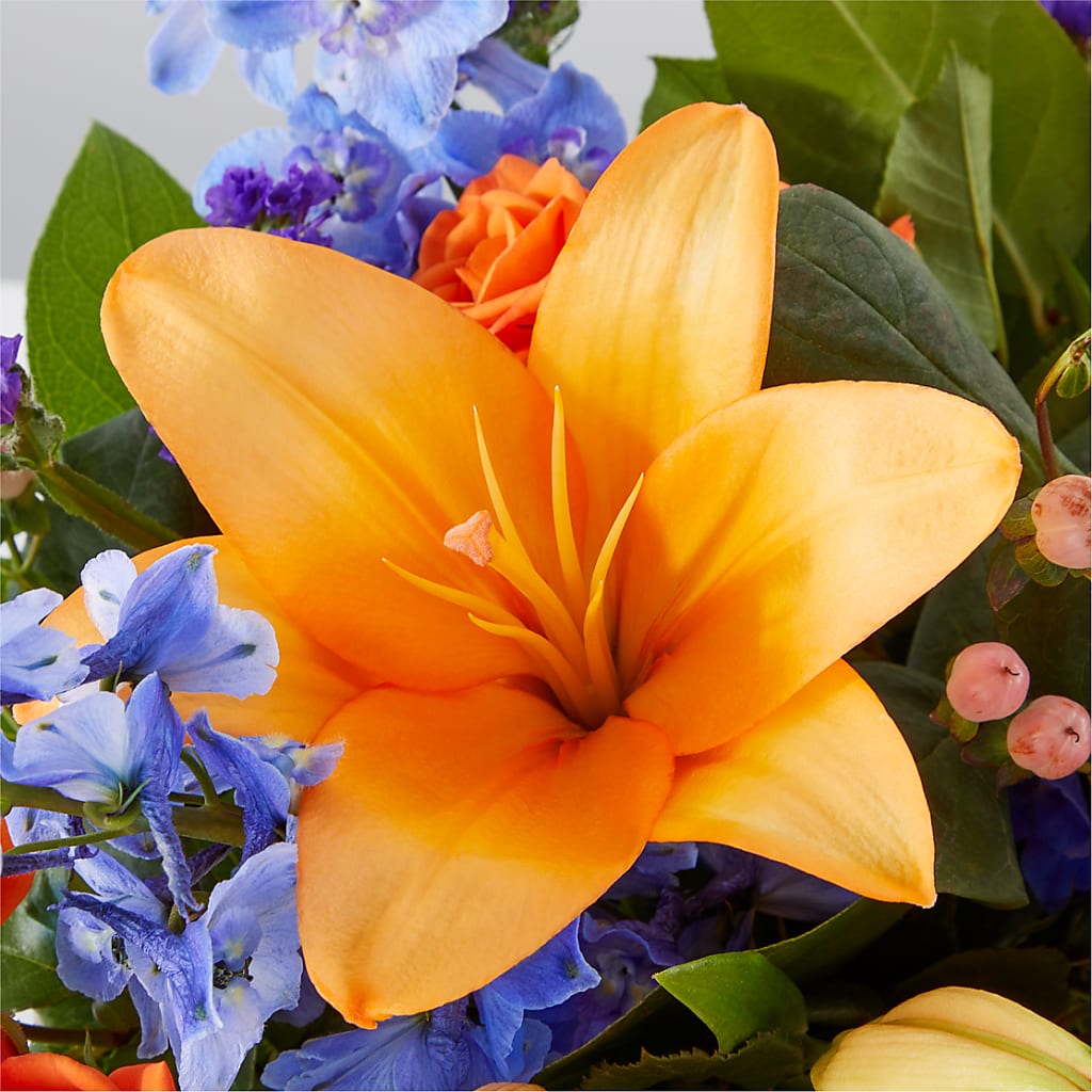 Radiant Citrus Box Bouquet –  New Life Flower And Gifts, Rincon GA