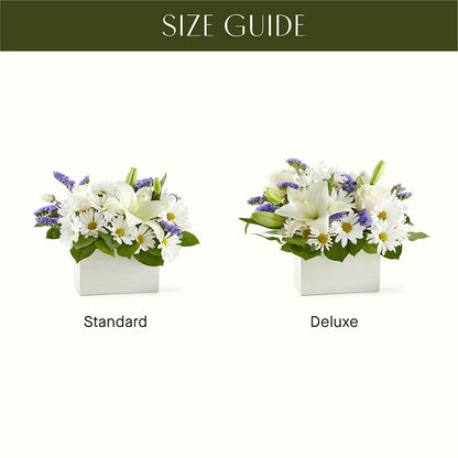 Beyond Blue Box Bouquet –  New Life Flower And Gifts, Rincon GA