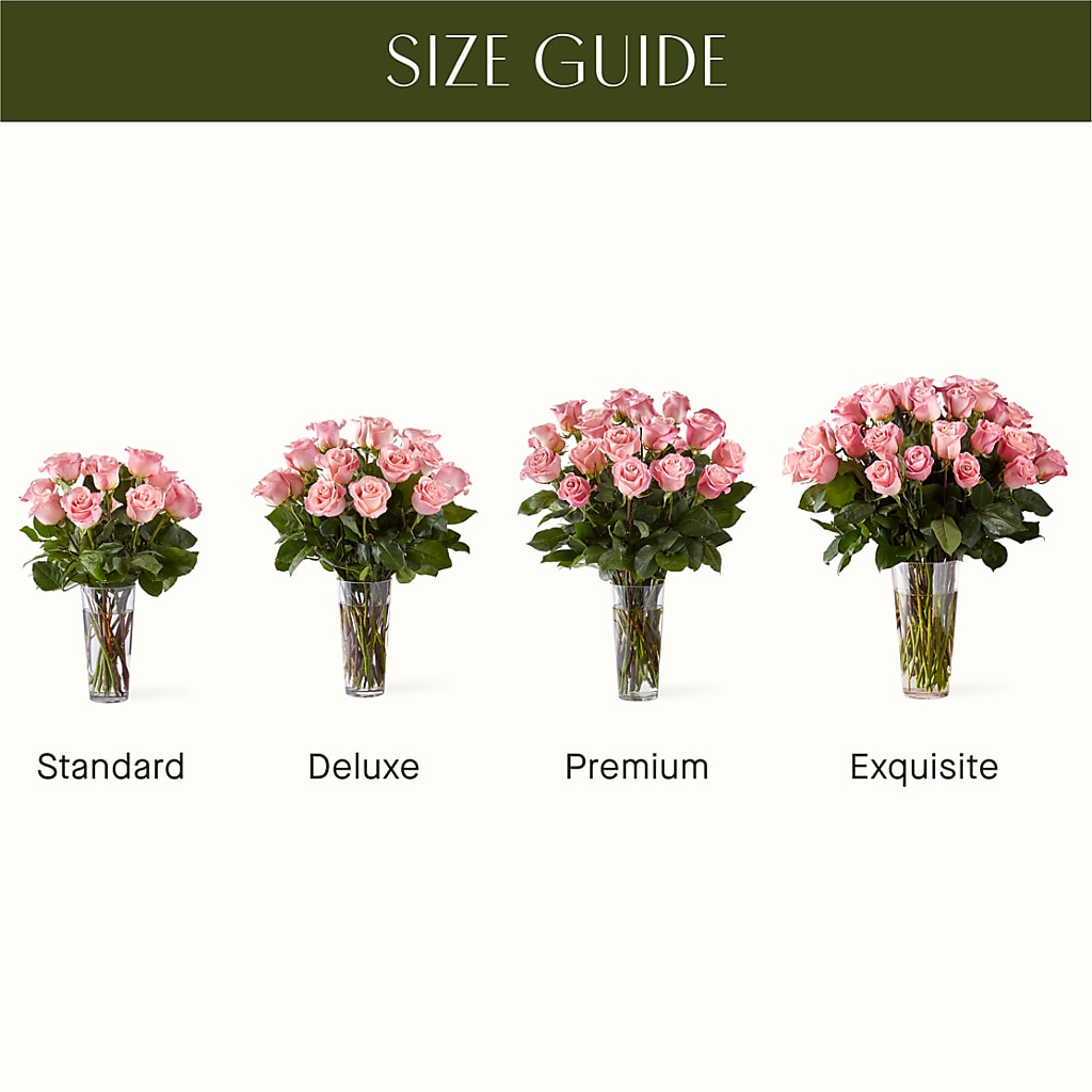 Long Stem Pink Rose Bouquet –  New Life Flower And Gifts, Rincon GA