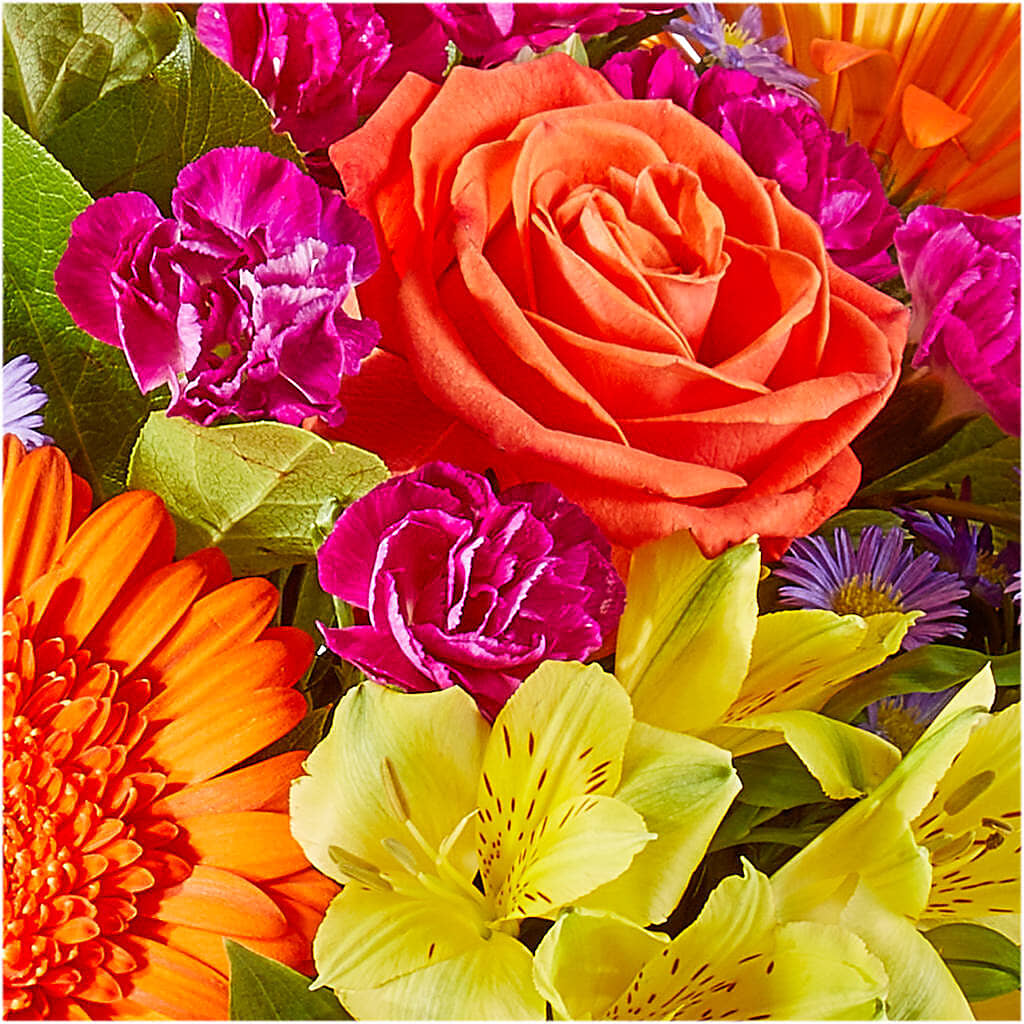 Tricks & Treats Pumpkin –  New Life Flower And Gifts, Rincon GA