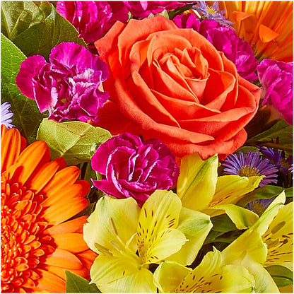 Tricks & Treats Pumpkin –  New Life Flower And Gifts, Rincon GA
