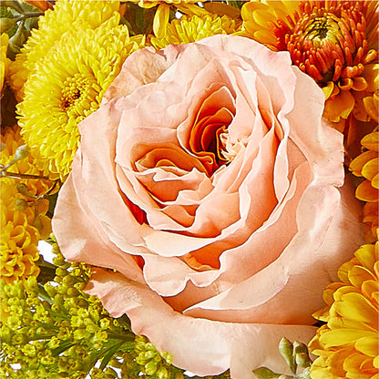 Peachy Pumpkin –  New Life Flower And Gifts, Rincon GA
