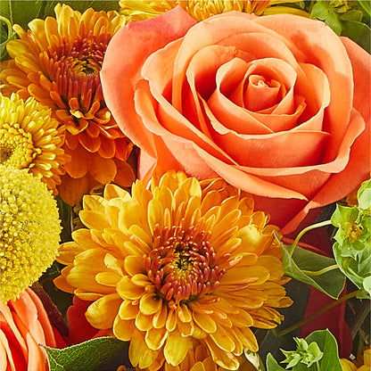 Gourdgeous Pumpkin –  New Life Flower And Gifts, Rincon GA