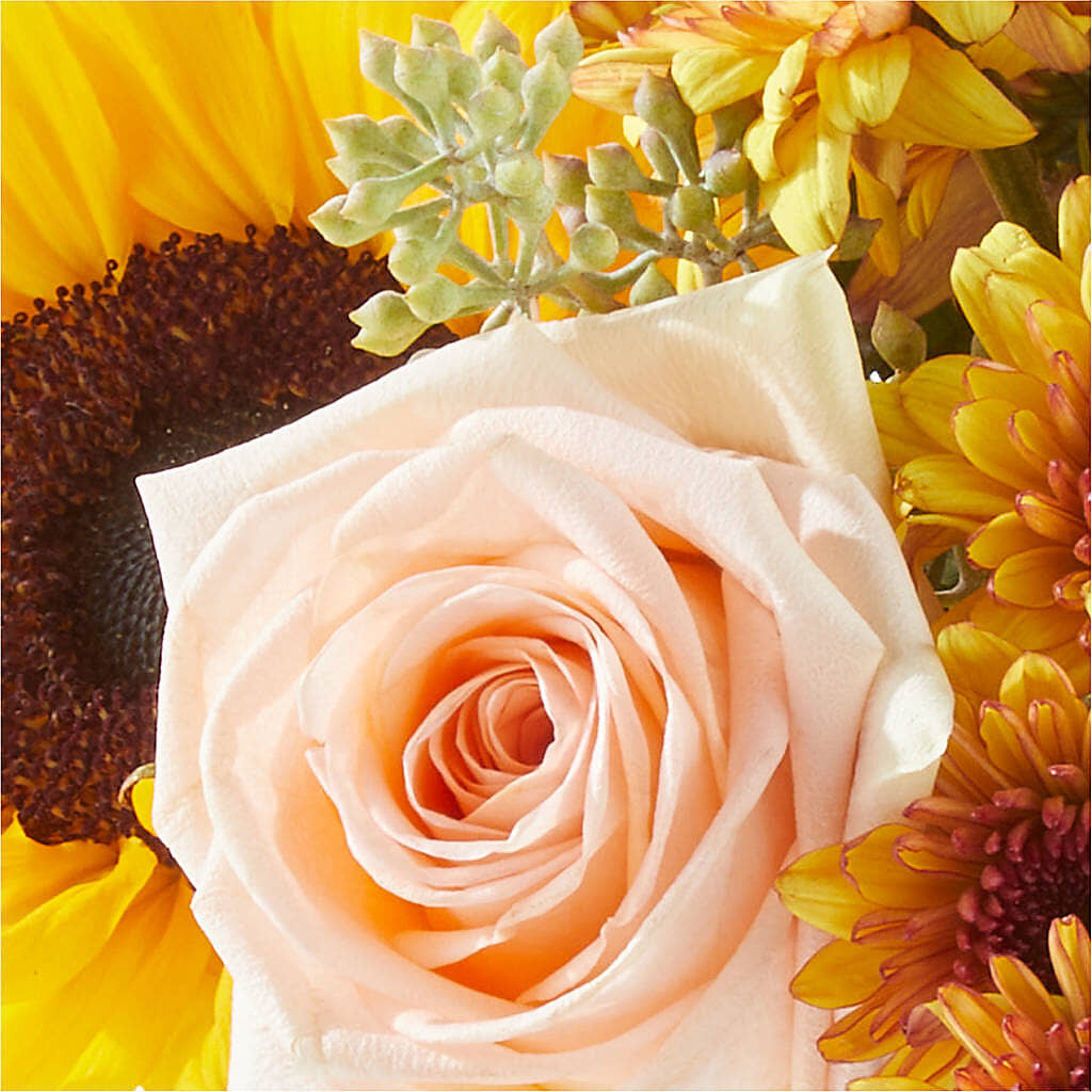 Pumpkin to Talk About Bouquet –  New Life Flower And Gifts, Rincon GA