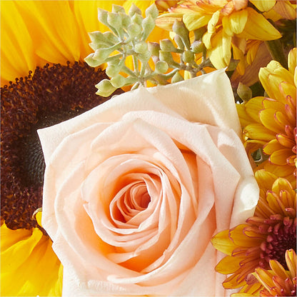 Pumpkin to Talk About Bouquet –  New Life Flower And Gifts, Rincon GA