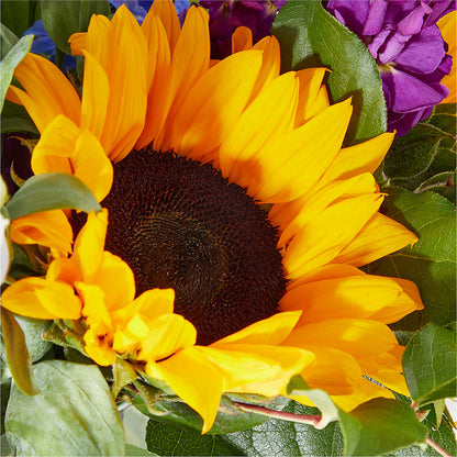 Catching Rays Bouquet –  New Life Flower And Gifts, Rincon GA