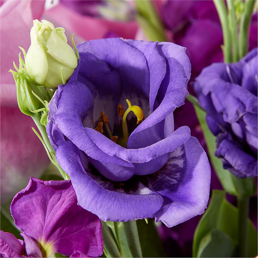 Twilight Glow Bouquet –  New Life Flower And Gifts, Rincon GA