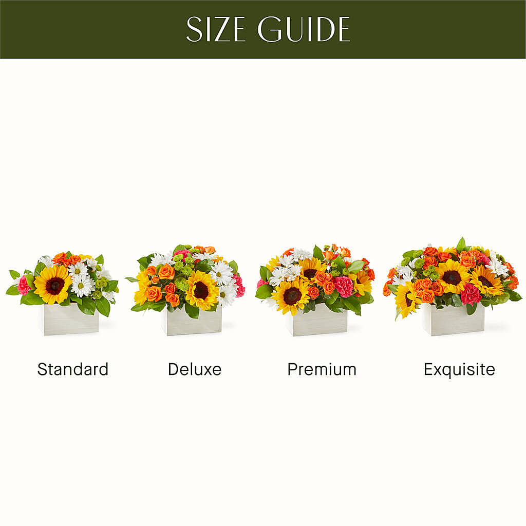 Sun-drenched Blooms Box Bouquet –  New Life Flower And Gifts, Rincon GA
