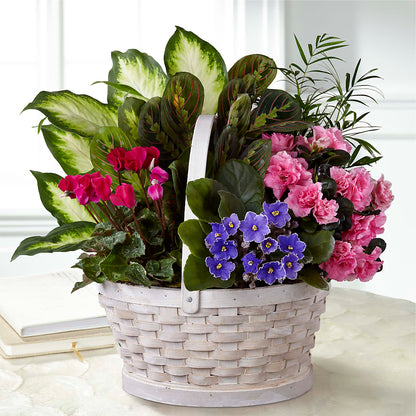 Peaceful Garden Planter –  New Life Flower And Gifts, Rincon GA