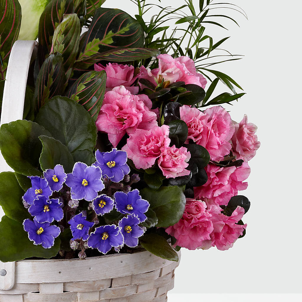 Peaceful Garden Planter –  New Life Flower And Gifts, Rincon GA