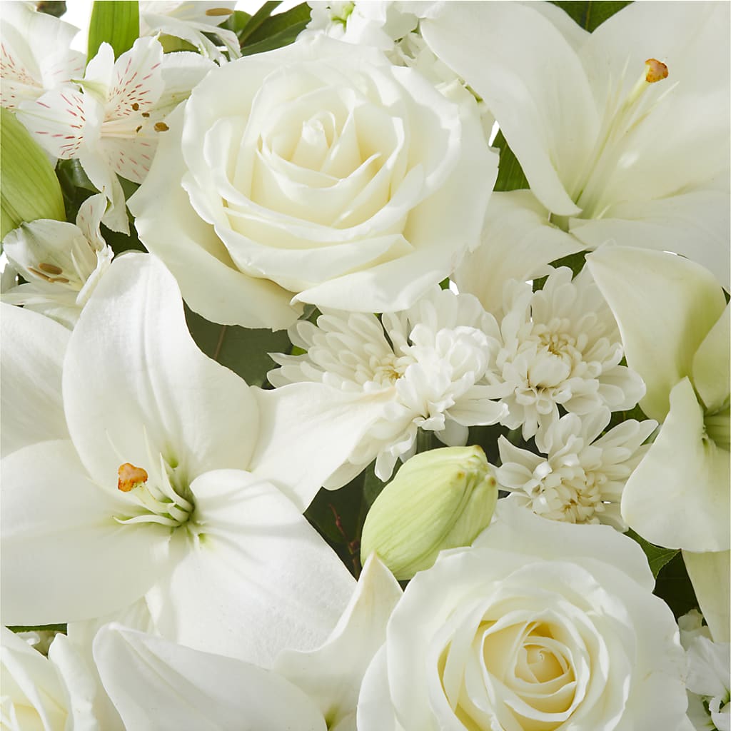 Peaceful Reflections Arrangement –  New Life Flower And Gifts, Rincon GA