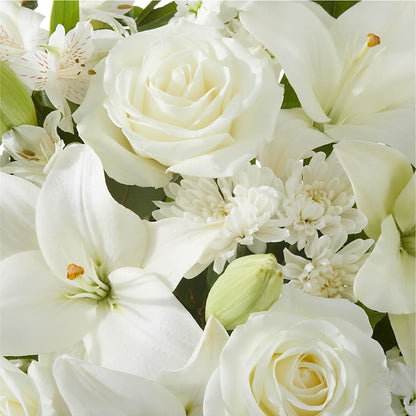 Peaceful Reflections Arrangement –  New Life Flower And Gifts, Rincon GA