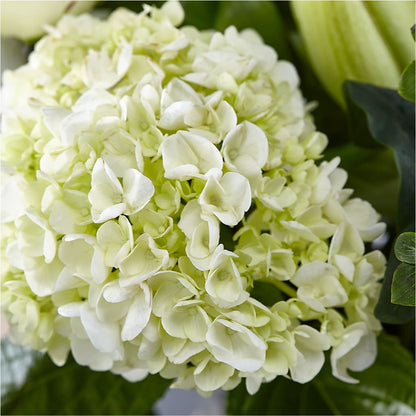 Classic Ivory – A Florist Original –  New Life Flower And Gifts, Rincon GA