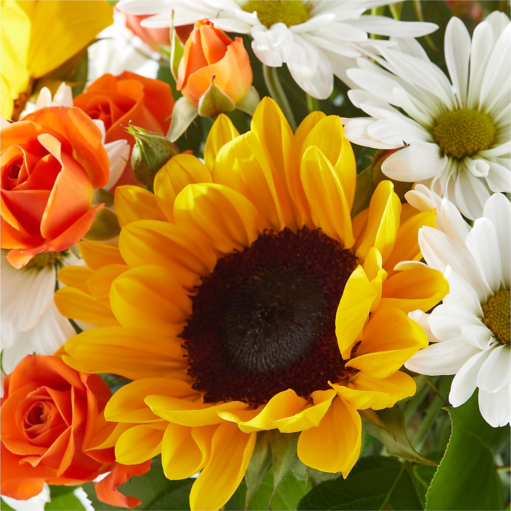 Sun-drenched Blooms Bouquet –  New Life Flower And Gifts, Rincon GA