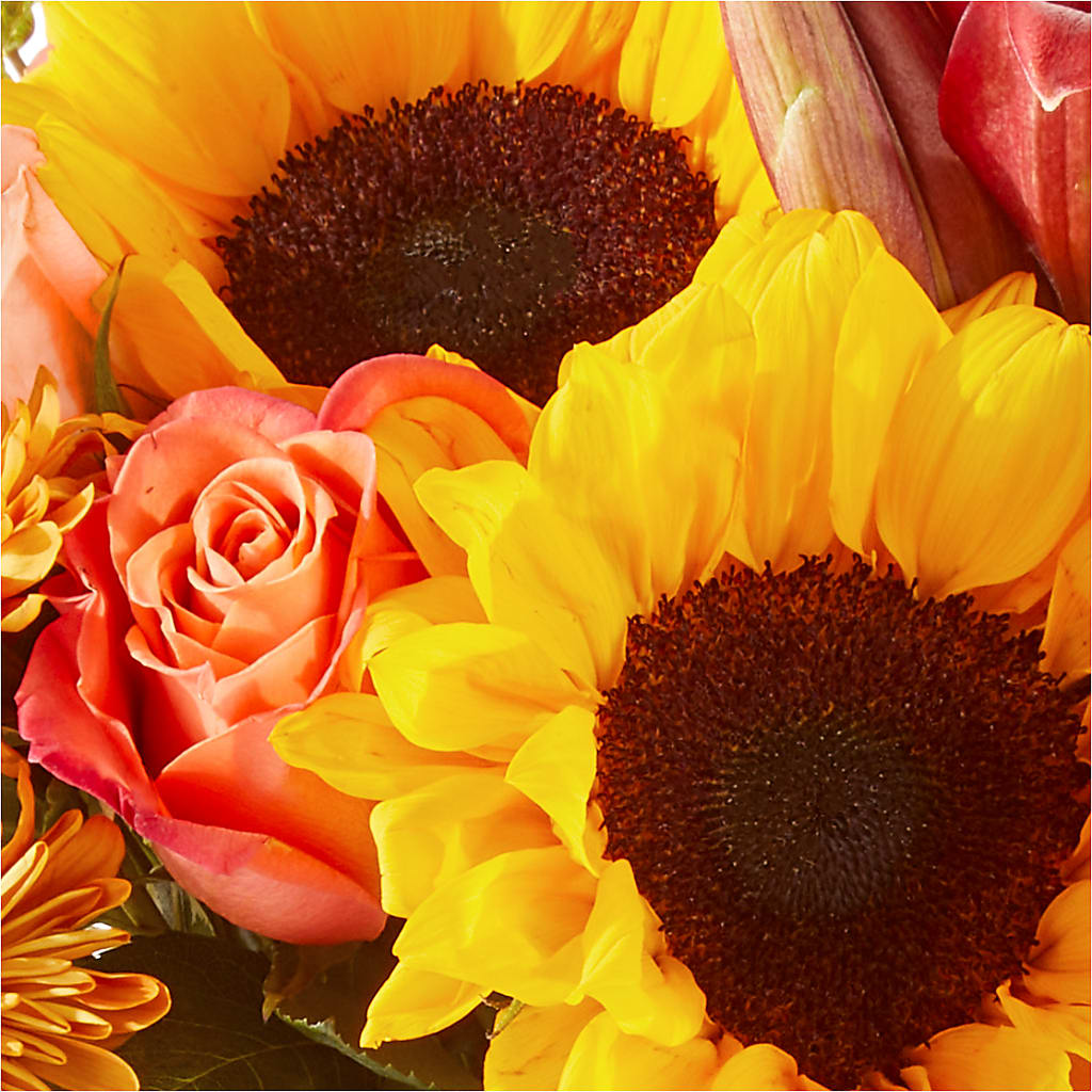 Acorn Lane Bouquet –  New Life Flower And Gifts, Rincon GA