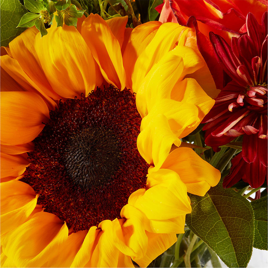 Harvest Festival Bouquet –  New Life Flower And Gifts, Rincon GA