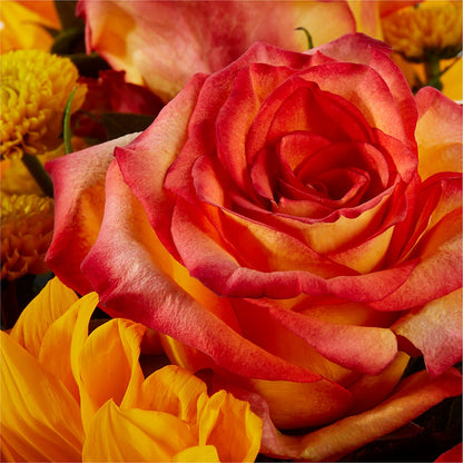 Picnic in the Park Bouquet –  New Life Flower And Gifts, Rincon GA