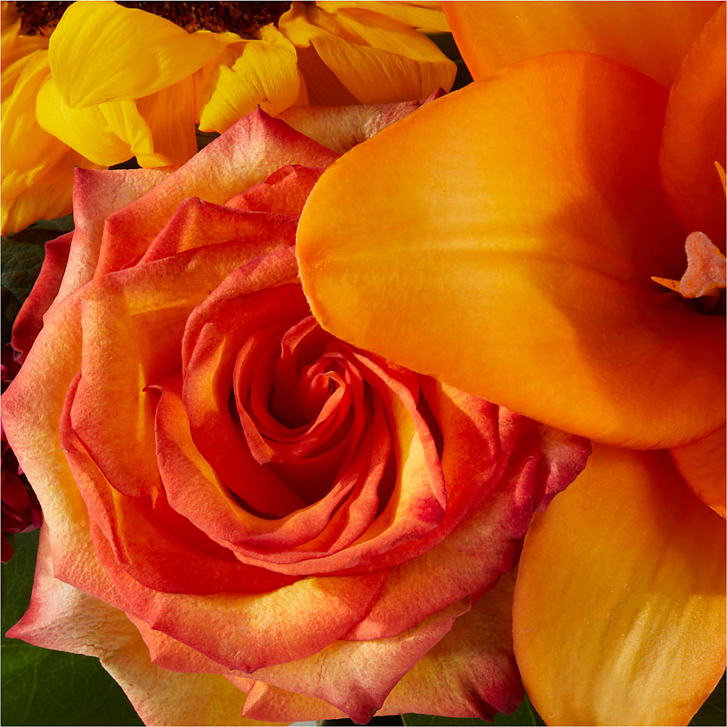 Grateful Centerpiece –  New Life Flower And Gifts, Rincon GA