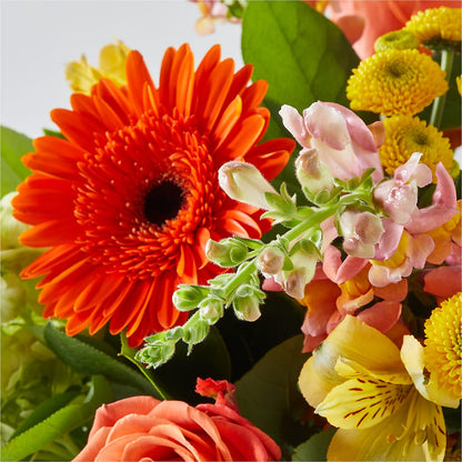 Autumn Sunshine Bouquet –  New Life Flower And Gifts, Rincon GA