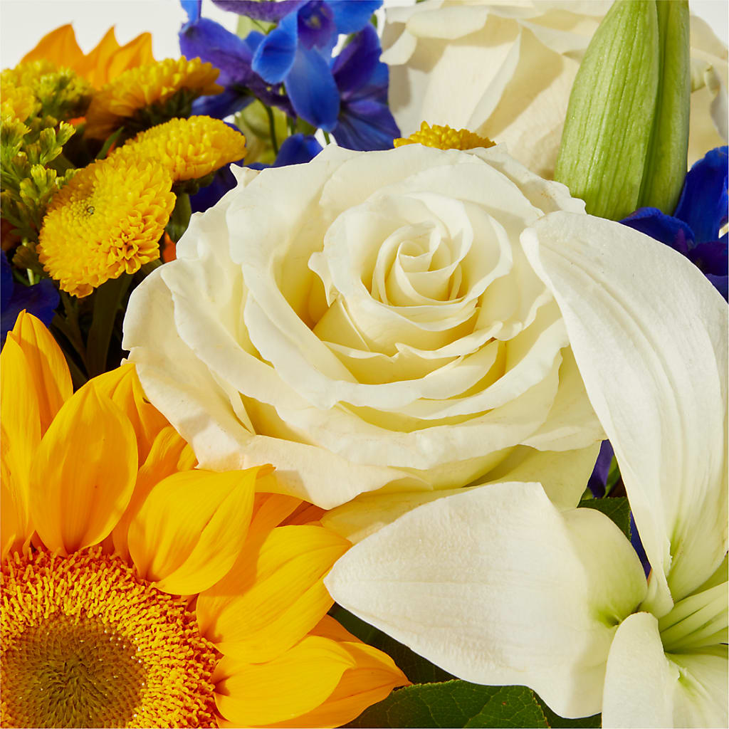 Stargazing Bouquet –  New Life Flower And Gifts, Rincon GA
