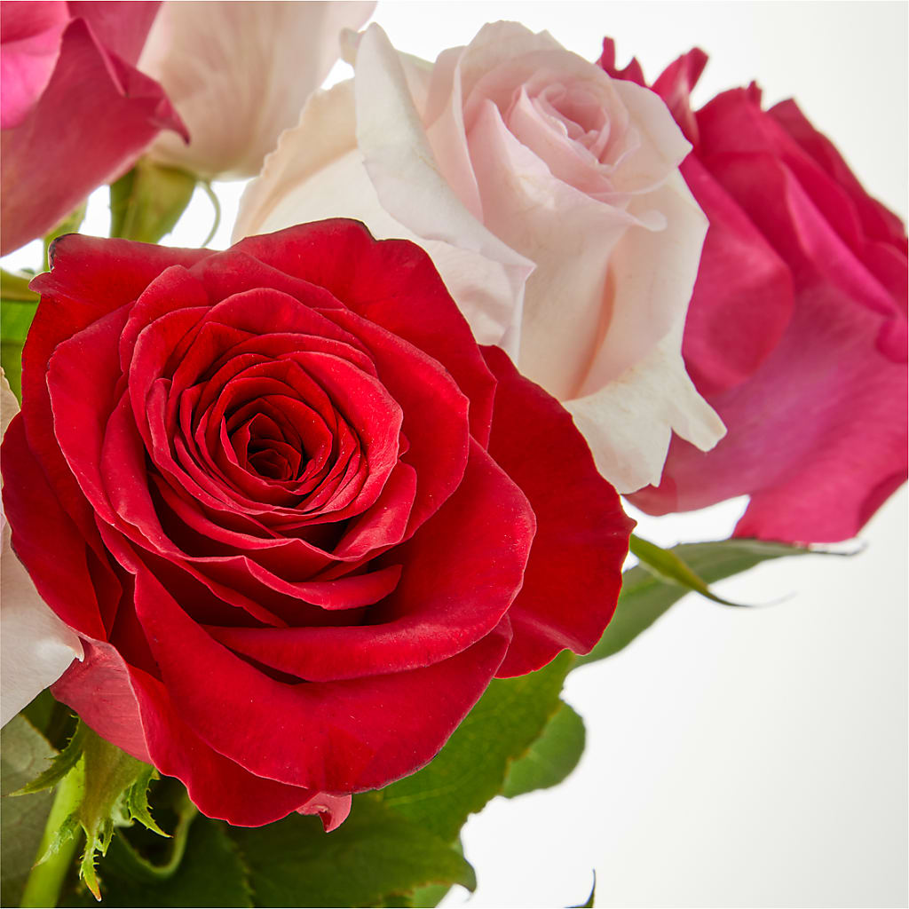 Charming Rose Bouquet –  New Life Flower And Gifts, Rincon GA