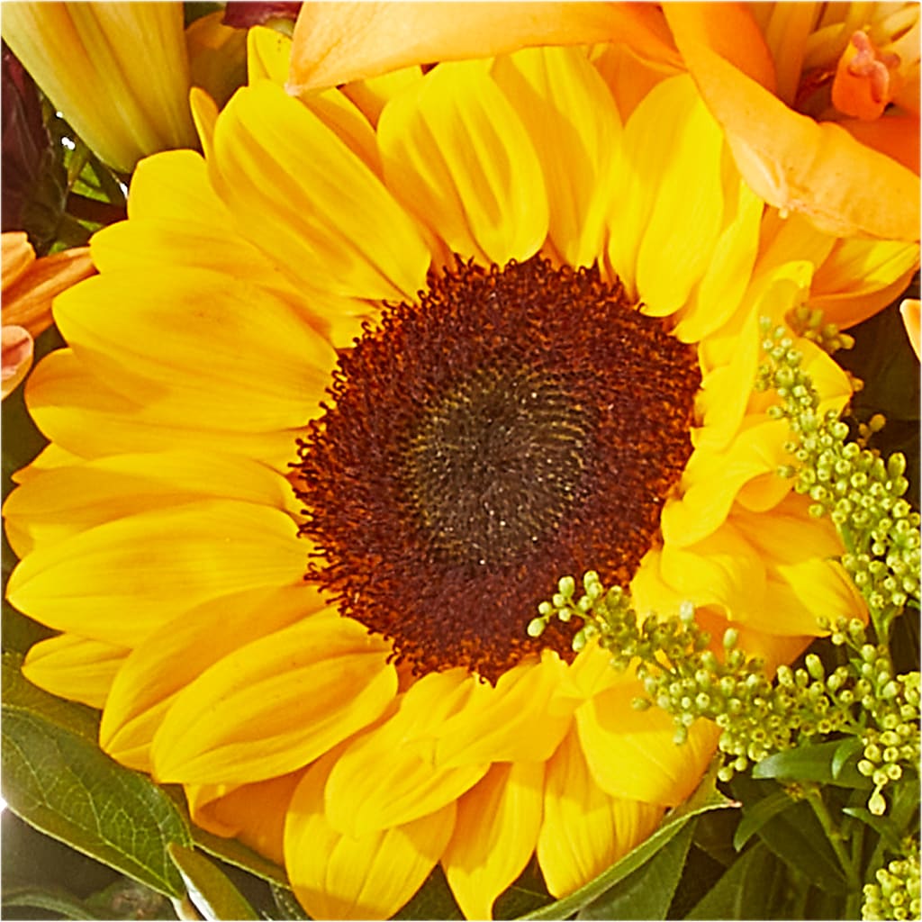 Seasons Change Bouquet –  New Life Flower And Gifts, Rincon GA