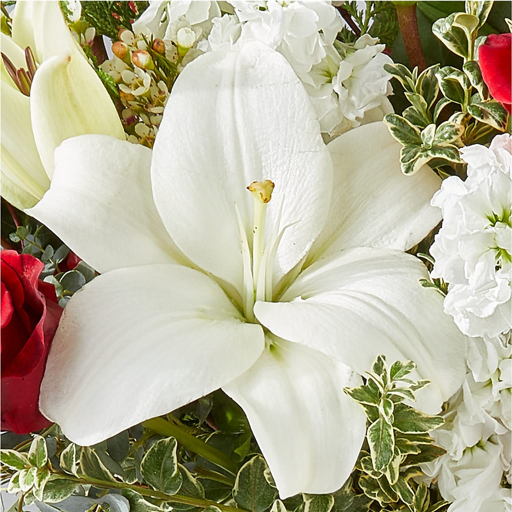 Twinkle Lights Bouquet –  New Life Flower And Gifts, Rincon GA