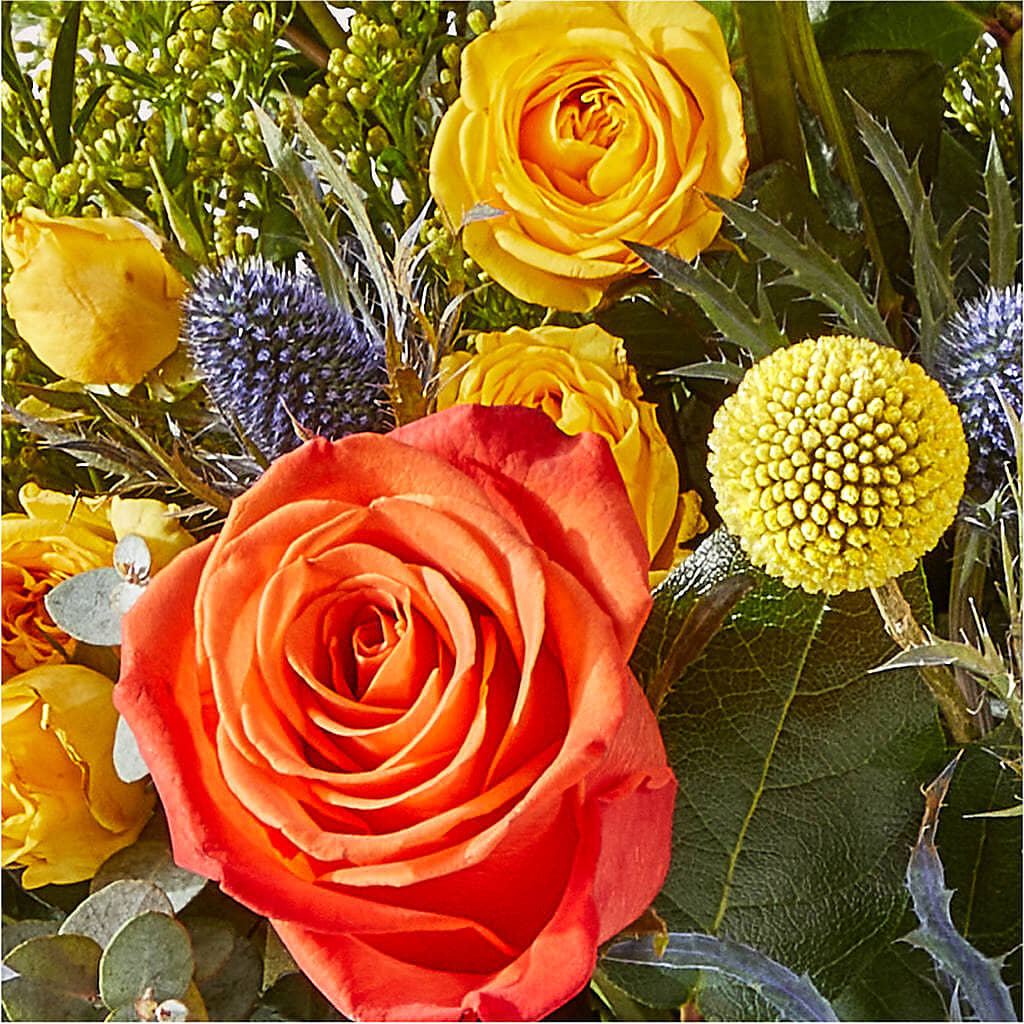 Disco Bouquet –  New Life Flower And Gifts, Rincon GA