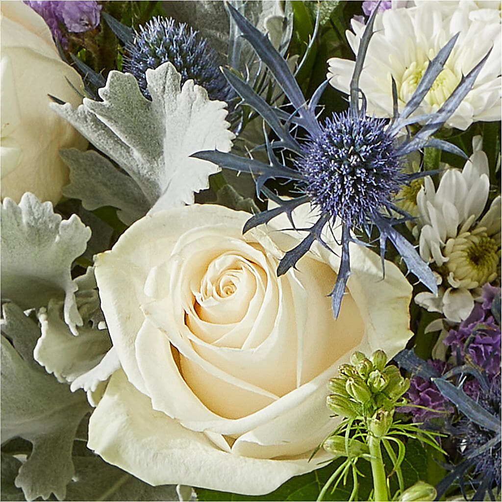 Shooting Star Bouquet –  New Life Flower And Gifts, Rincon GA