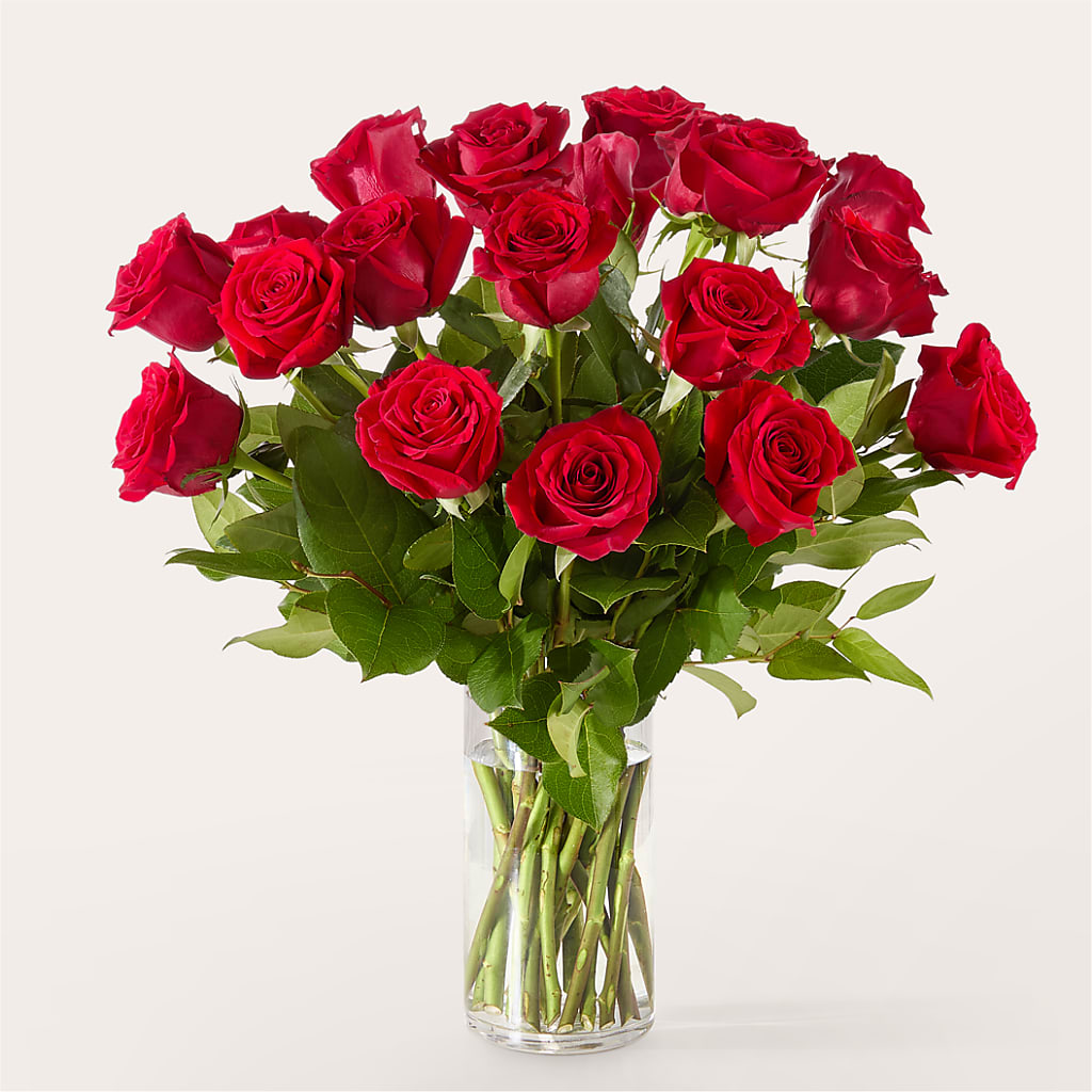 The One Red Rose Bouquet –  New Life Flower And Gifts, Rincon GA