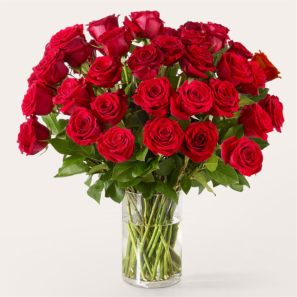 The One Red Rose Bouquet –  New Life Flower And Gifts, Rincon GA