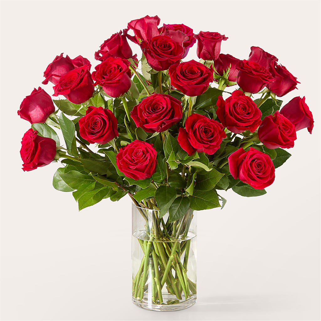 The One Red Rose Bouquet –  New Life Flower And Gifts, Rincon GA