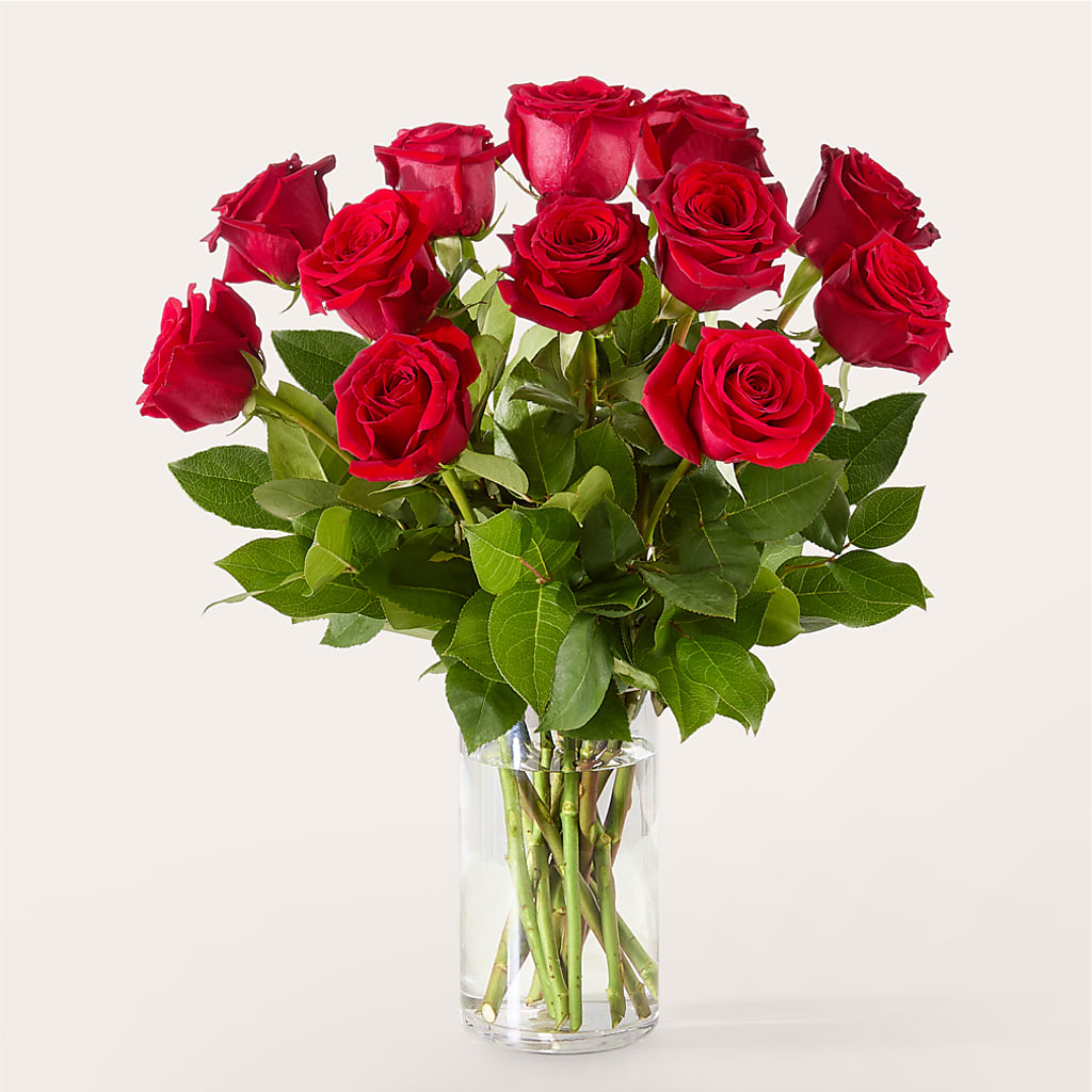 The One Red Rose Bouquet –  New Life Flower And Gifts, Rincon GA