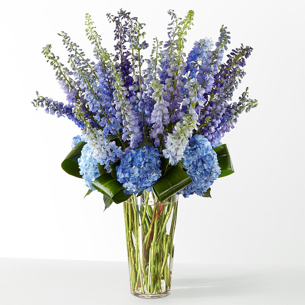 The Editorial –  New Life Flower And Gifts, Rincon GA