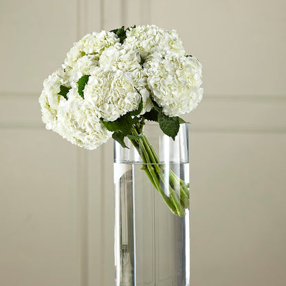 White Hydrangea Hand-Tied Bouquet –  New Life Flower And Gifts, Rincon GA