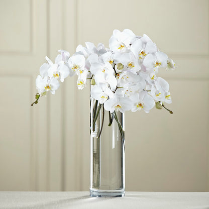 White Phalaenopsis Bouquet –  New Life Flower And Gifts, Rincon GA